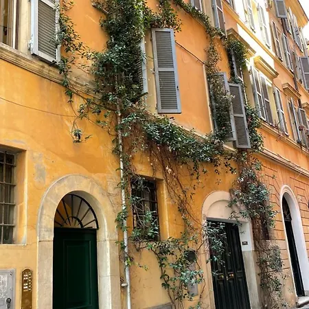 Regola-2